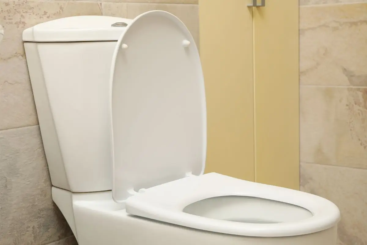 Immagine selezionata